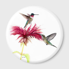 Hummingbirds Floral Watercolor Magnet