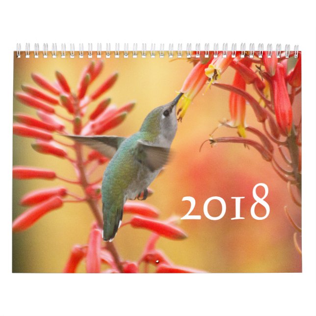 Hummingbirds Galor Kalender (Titelbild)