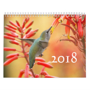 Hummingbirds Galor Kalender
