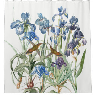 Hummingbirds Iris Blumengarten Duschvorhang