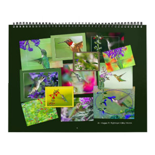 HUMMINGBIRDS-Kalender Kalender