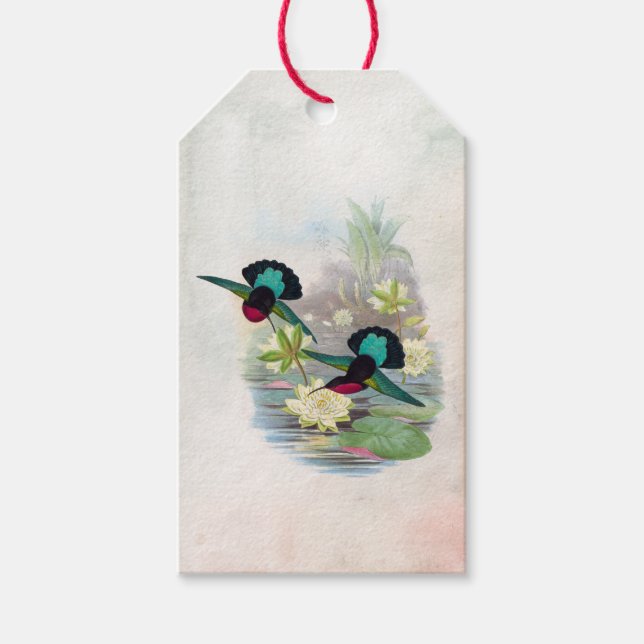 Hummingbirds Lotus Pond Brillantes Geschenk Tag Geschenkanhänger (Vorderseite)
