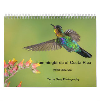 Hummingbirds of Costa Rica Calendar Kalender