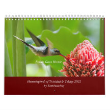 Hummingbirds of Trinidad & Tobago 2022 Calendar