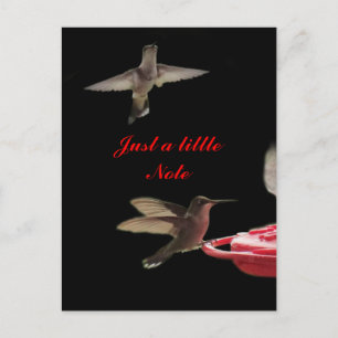 Hummingbirds Postcard #ct98721- anpassen Postkarte