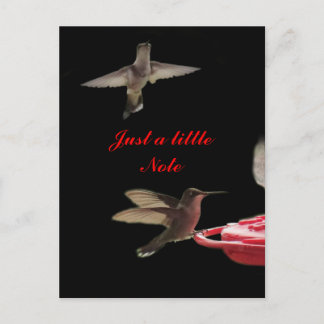 Hummingbirds Postcard #ct98721- anpassen Postkarte