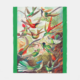 Hummingbirds print 1904 fleecedecke
