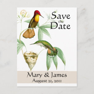 Hummingbirds Save the Date Postkarte