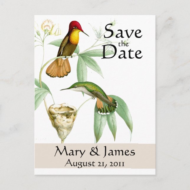 Hummingbirds Save the Date Postkarte (Vorderseite)