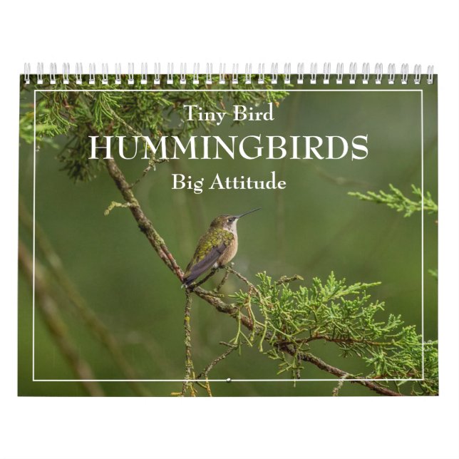 Hummingbirds Tiny Bird Big Attitude Calendar Kalender (Titelbild)