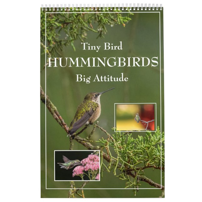 Hummingbirds Tiny Bird Big Attitude Calendar Kalender (Titelbild)