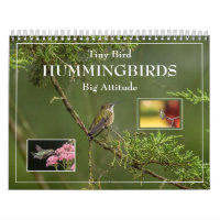 Hummingbirds Tiny Bird Big Attitude Calendar