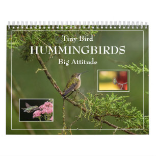 Hummingbirds Tiny Bird Big Attitude Calendar Kalender
