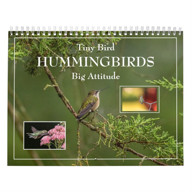 Hummingbirds Tiny Bird Big Attitude Calendar Kalender (Titelbild)