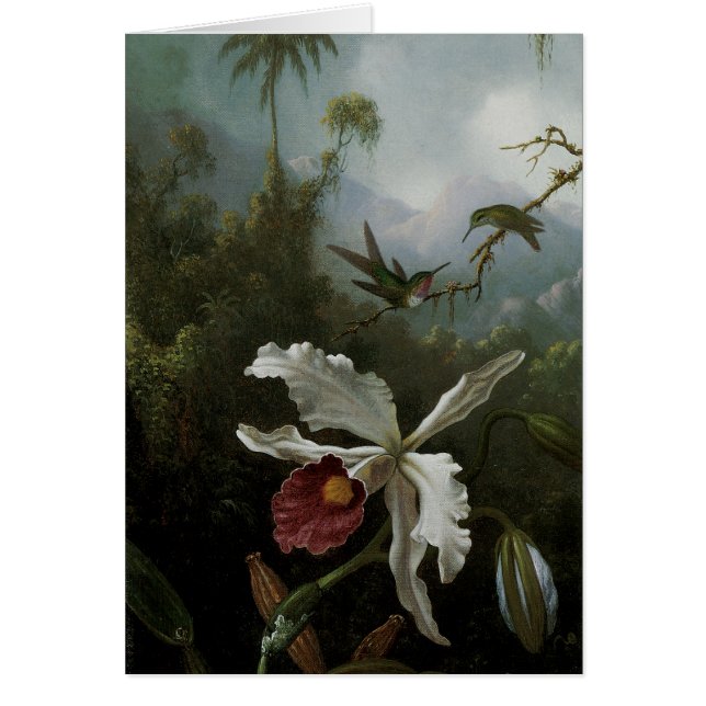 Hummingbirds und White Orchid von Martin J. Heade (Vorne)