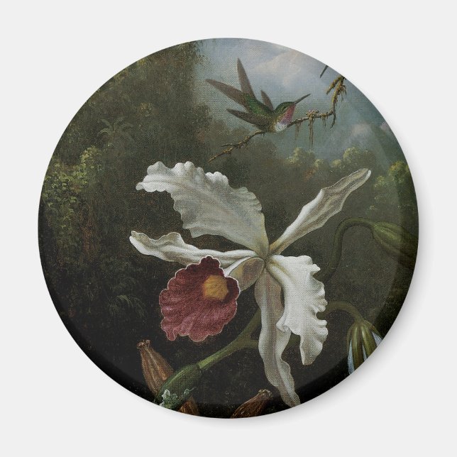 Hummingbirds und White Orchid von Martin J. Heade Magnet (Vorne)