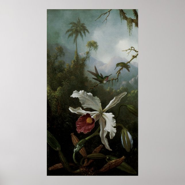 Hummingbirds und White Orchid von Martin J. Heade Poster (Vorne)
