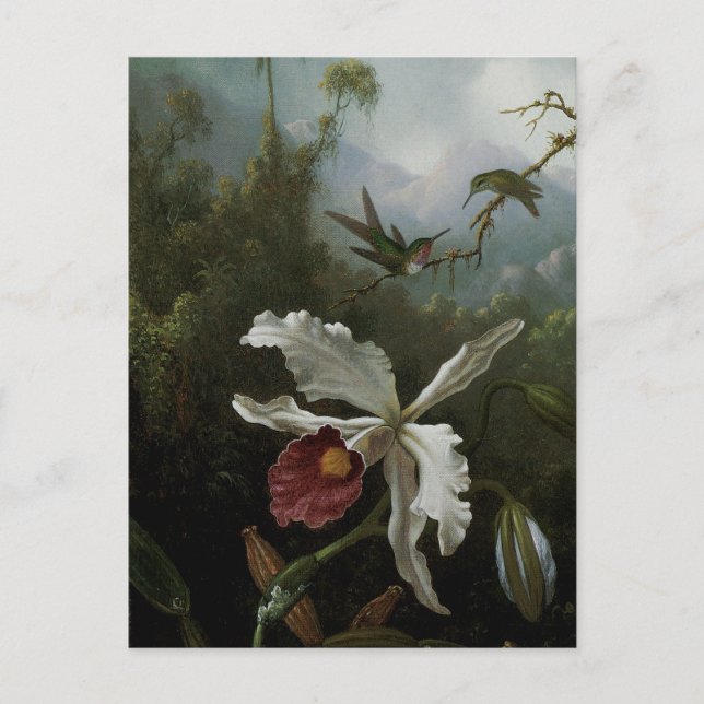 Hummingbirds und White Orchid von Martin J. Heade Postkarte (Vorderseite)