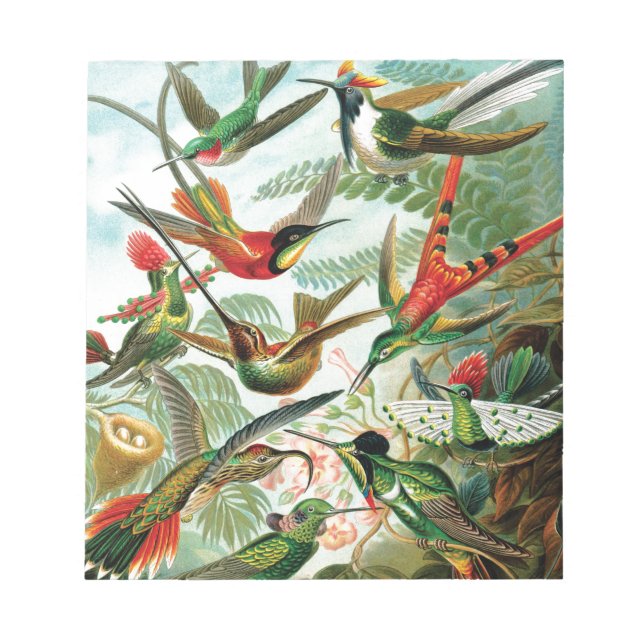 Hummingbirds von Ernst Haeckel Notizblock (Vorderseite)