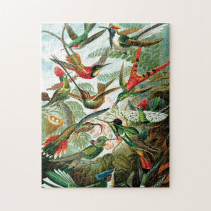 Hummingbirds von Ernst Haeckel Puzzle