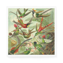 Hummingbirds von Ernst Haeckel