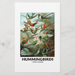 Hummingvögel