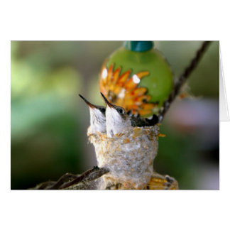 Hummingvögel