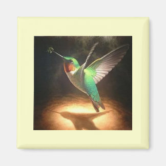 Hummingvogel3 Magnet