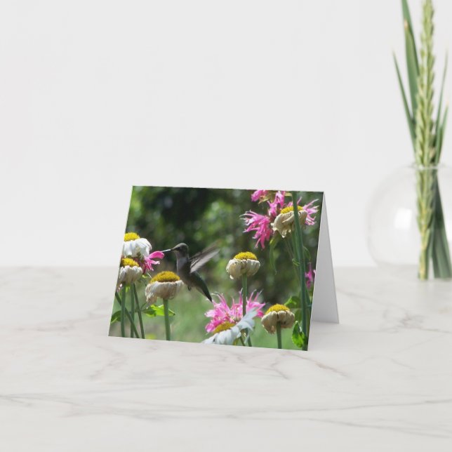 Hummingvogel 4 karte (Vorderseite)