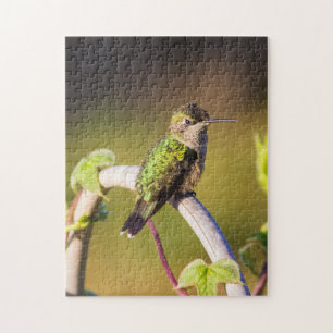 Hummingvogel auf einem Dornröschen Puzzle