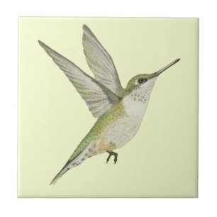 Hummingvogel Fliese