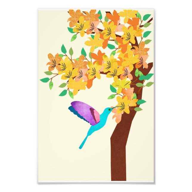 Hummingvogel Fotodruck (Vorne)