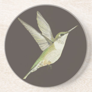 Hummingvogel Getränkeuntersetzer