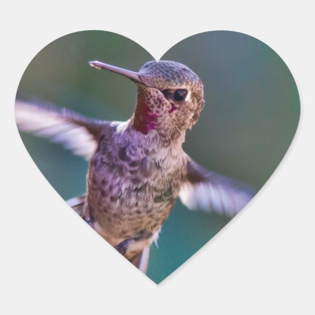 Hummingvogel Herz-Aufkleber (Vorderseite)