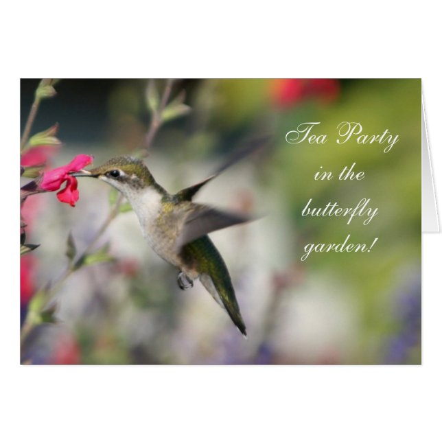 Hummingvogel im Flug (Vorderseite (Horizontal))