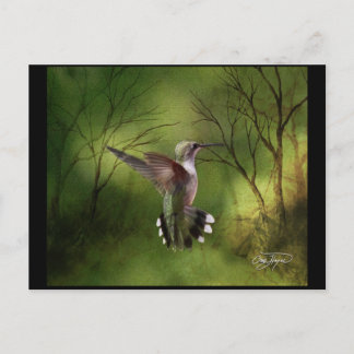 Hummingvogel im Flug Postkarte