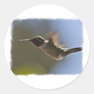 Hummingvogel im Flug Runder Aufkleber
