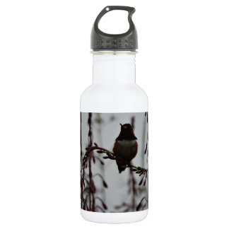 Hummingvogel in der Erholung Trinkflasche
