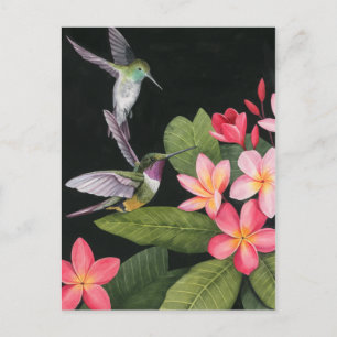 Hummingvögel in der Plumeria Postkarte