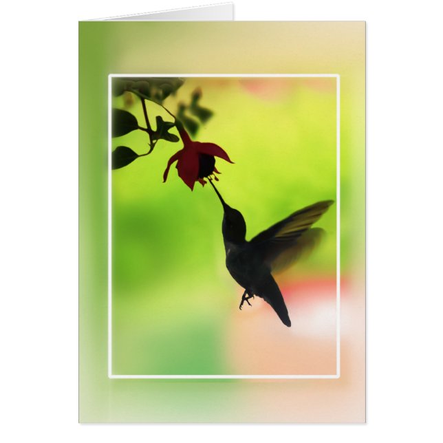 Hummingvogel in Silhouette (Vorne)