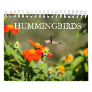 Hummingvögel Kalender