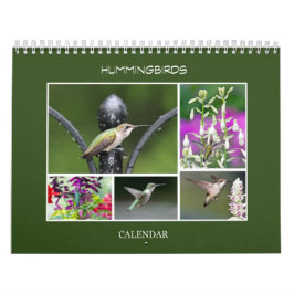 Hummingvögel Kalender