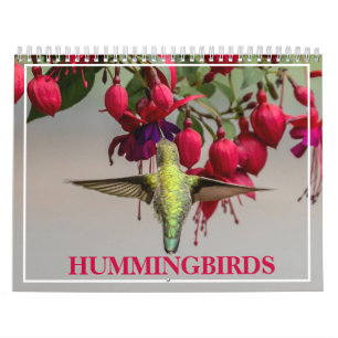 Hummingvögel Kalender