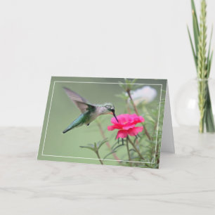 Hummingvogel Karte