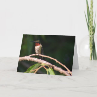 Hummingvogel Karte