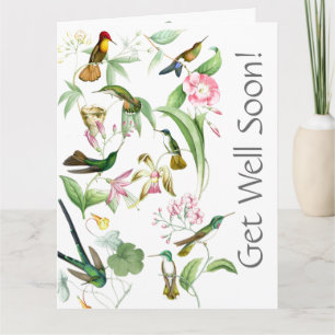 Hummingvögel kommen bald von der Big Card aus alle Karte