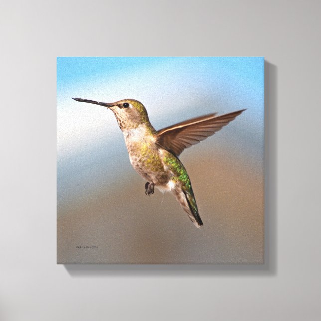 Hummingvogel Leinwanddruck (Vorderseite)