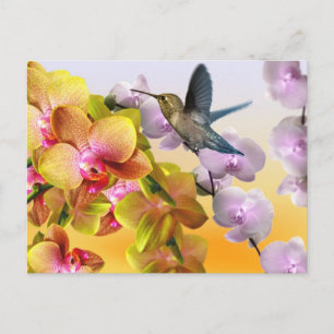 Hummingvogel, Lila Lilacs, Gelbe Rosa Orchideen Postkarte