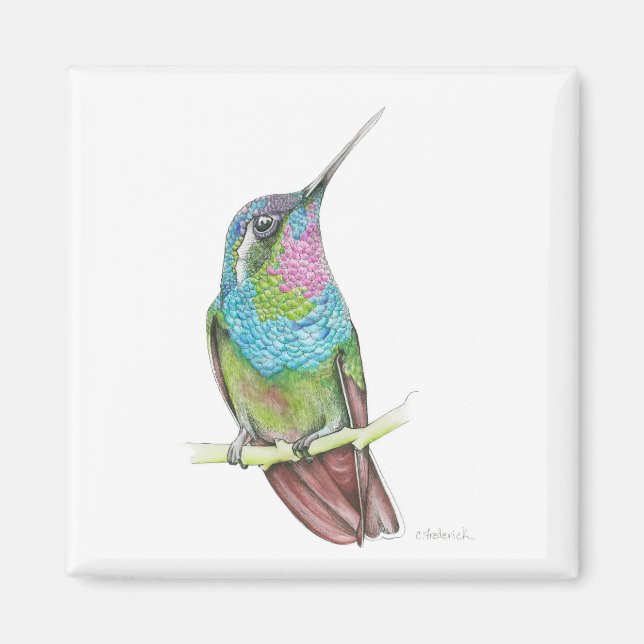 Hummingvogel Magnet (Vorne)