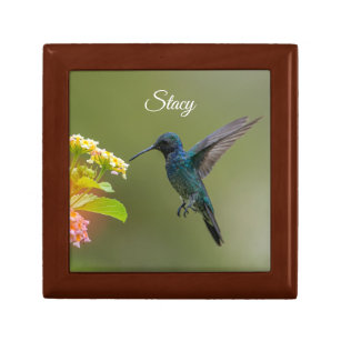 Hummingvogel mit Keepsake-Box für Blume Erinnerungskiste
